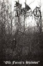 Balrog (BLR) : Old Forest's Shadows